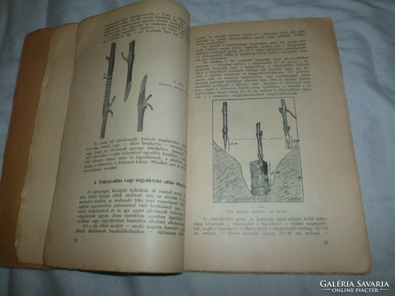 Régi könyv gyakorlati szőlőtermesztés 1937
