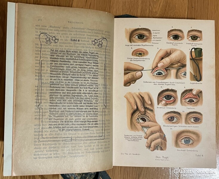 Die frau als hausärztin - German antique medical book (dr. Med. Anna fisher-dückelmann)