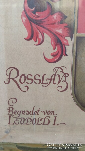 Keretezett címer Adelswappe der familie Rosslav von Rosenthal