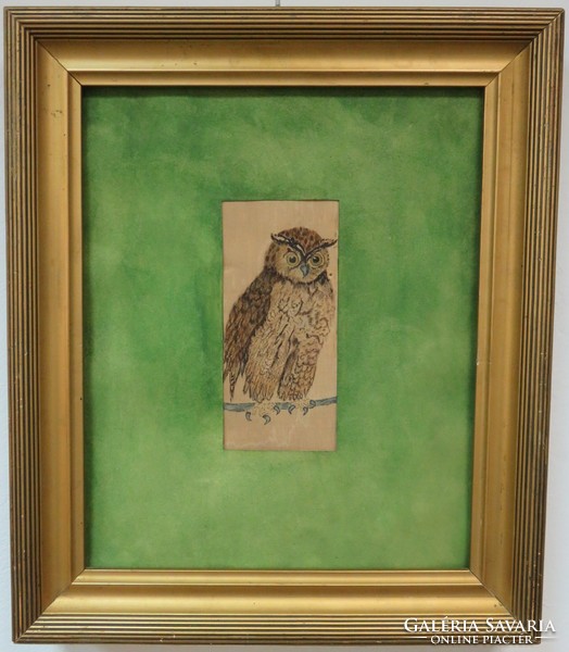 Owl