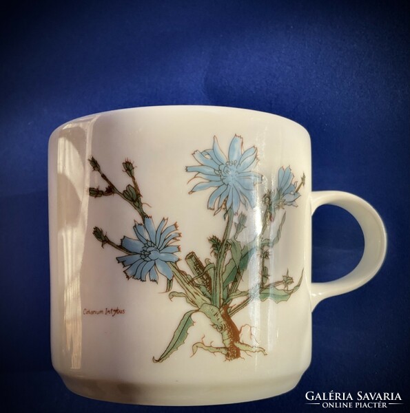 Alföldi Botany mug herbal medicine series