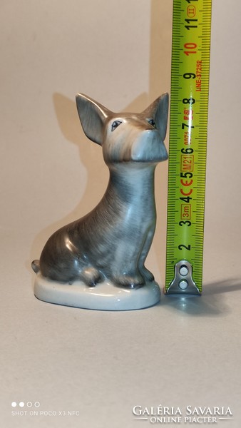 Drasche porcelain terrier dog