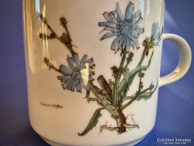 Alföldi Botany mug herbal medicine series