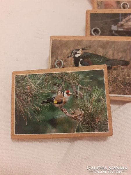 Small wooden board picture bases, with metal hanging loop, bird pictures 11 pcs in one