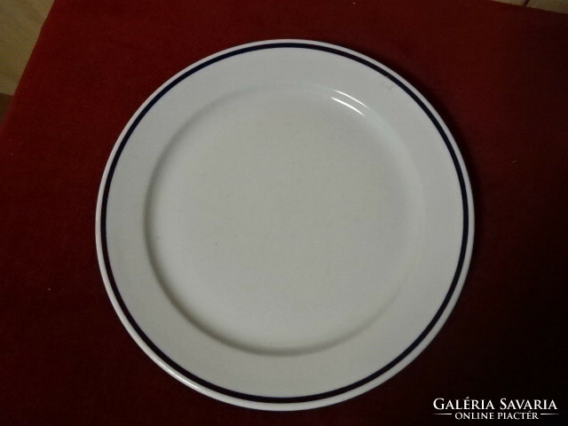 Alföldi porcelain, flat plate with blue stripes, diameter 24 cm. Jokai.