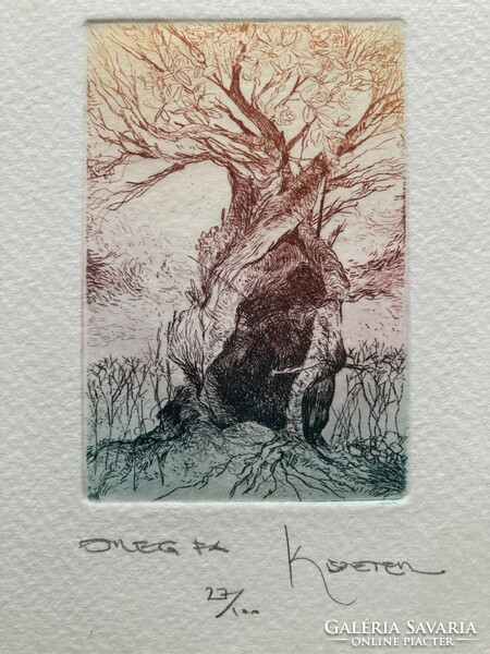 Kis Péter (1957-): Öreg fa, színezett, jelzett, számozott művészi rézkarc