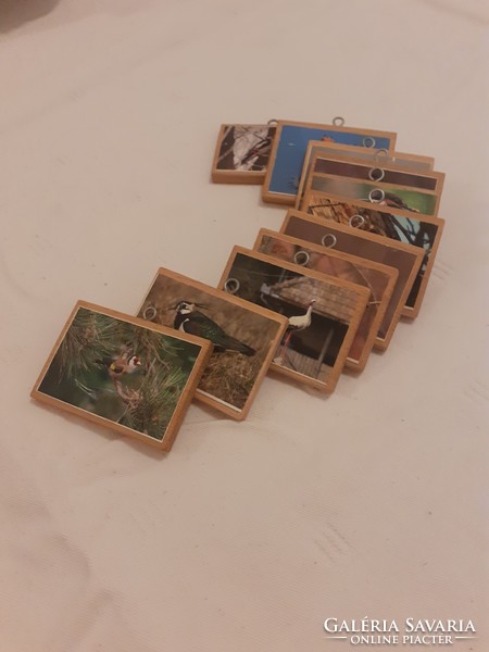 Small wooden board picture bases, with metal hanging loop, bird pictures 11 pcs in one