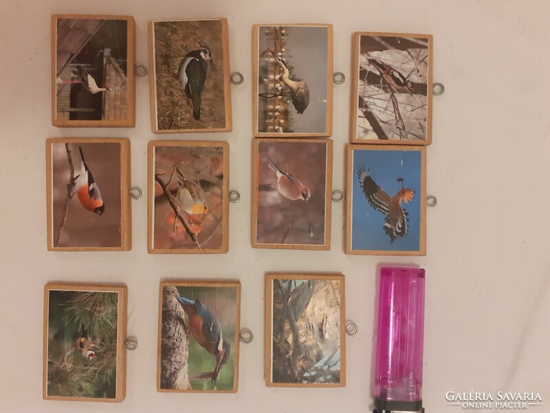Kis fa tábla kép alapok, fém akasztó hurokkal, madár képek 11 db egyben