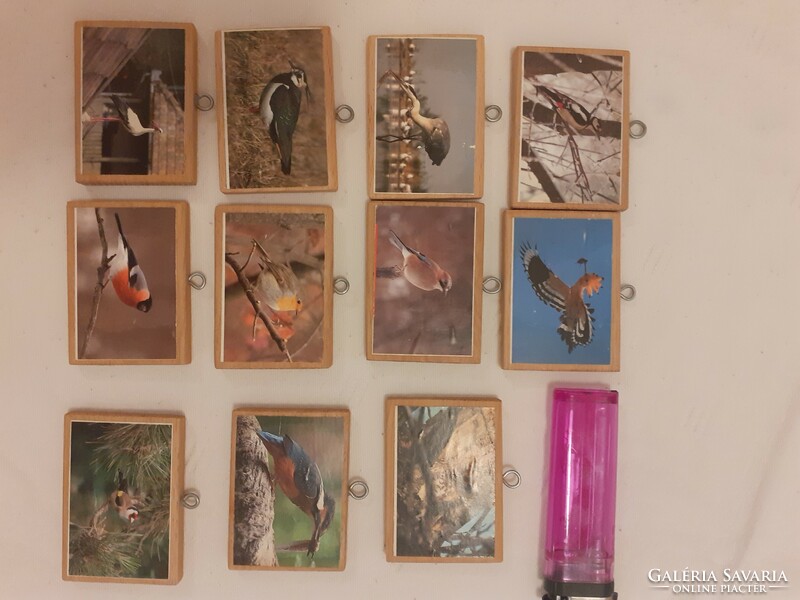 Small wooden board picture bases, with metal hanging loop, bird pictures 11 pcs in one