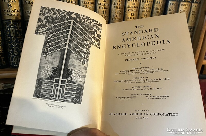 OLCSÓBB! The Standard American Encyclopedia 1-15. Gyönyörű állapotban !