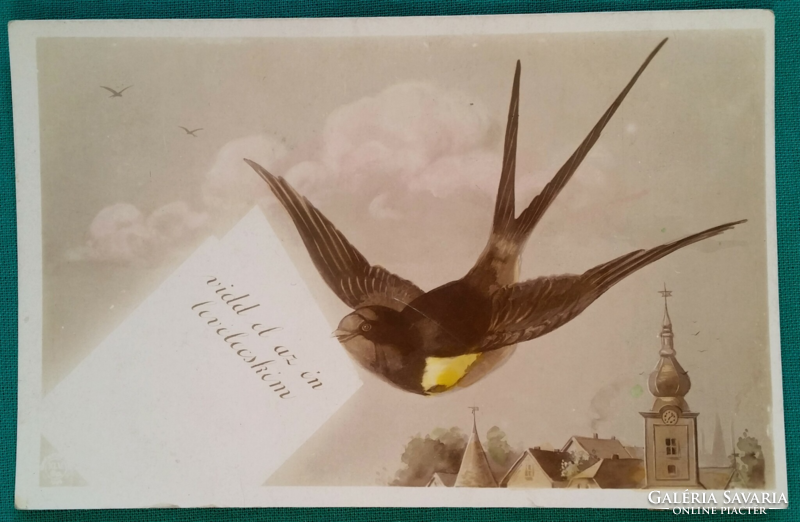Antique colored postcard - bird - used