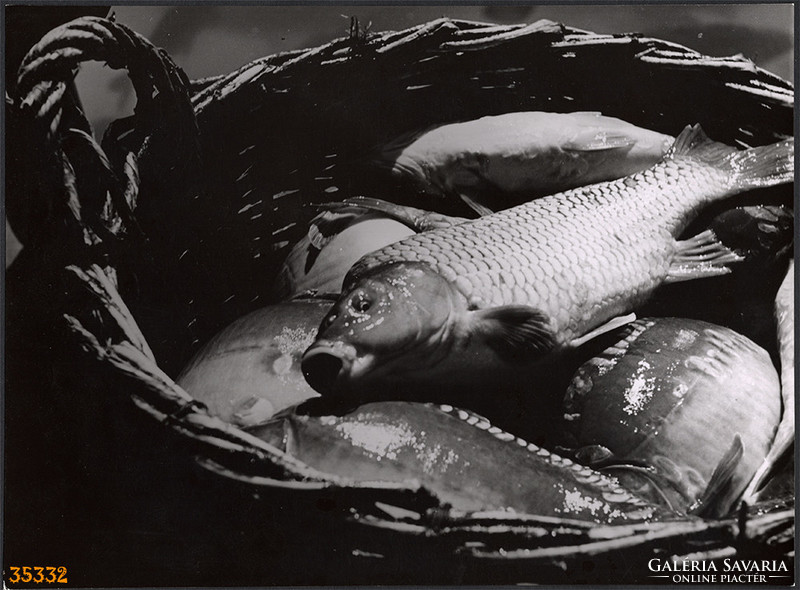 Nagyobb méret, Szendrő István fotóművészeti alkotása. Halak a kosárban, halászat, 1930-as évek.