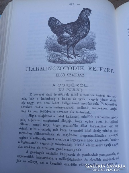 ANTIK SZAKÁCSKÖNYV, 1881-es kiadás reprintje