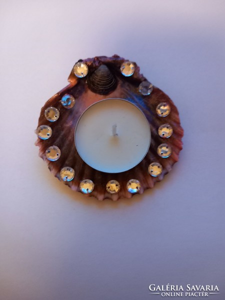 Candle holder shell (1)