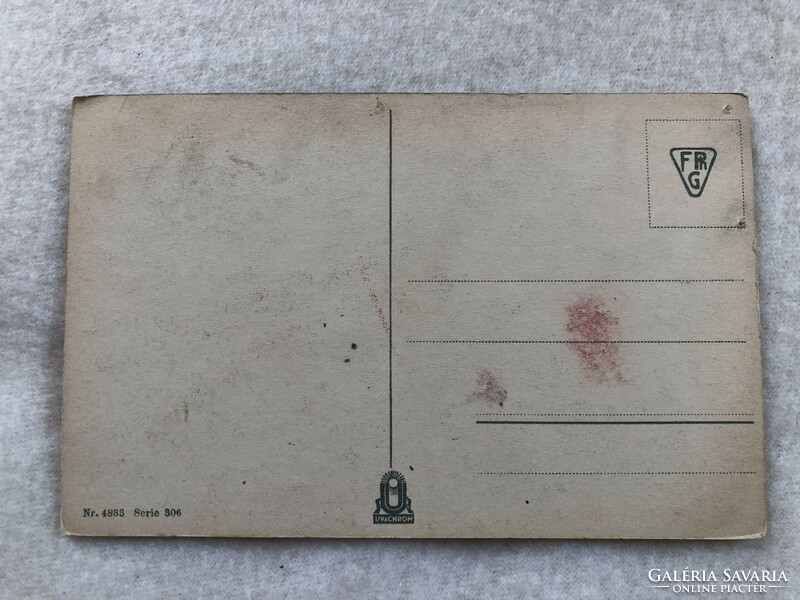 Antik, régi Chatarina Klein  - Madaras képeslap - Postatiszta                  -7.