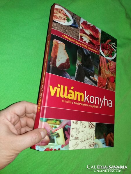 2012.Villamkonyha cookbook of Southern Magyar and the southern world according to pictures