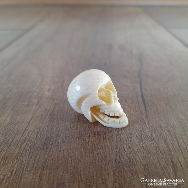 Antique netsuke bone skull