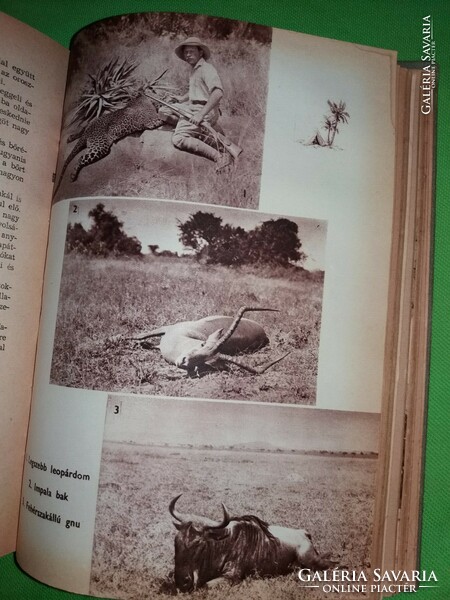 1957. Kálmán Kittenberger: in the wilds of East Africa book according to pictures youth