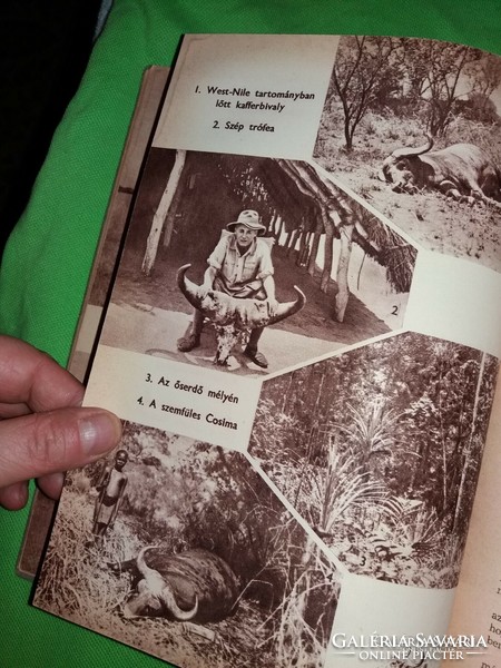 1957. Kálmán Kittenberger: in the wilds of East Africa book according to pictures youth