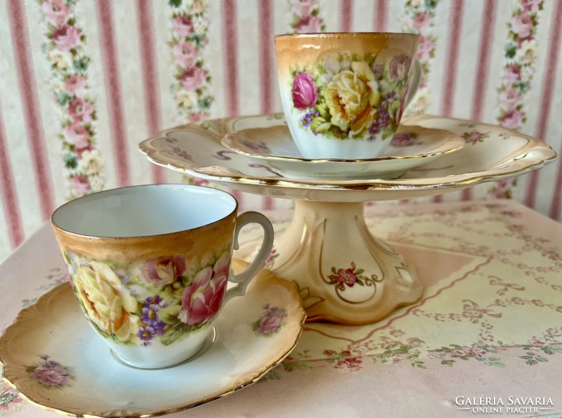 Beautiful rose tea cup
