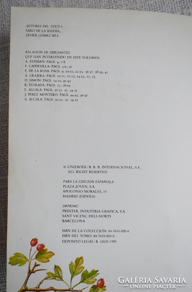 El libro Secreto de los Gnomos 3. , spanyol mesekönyv , 1985