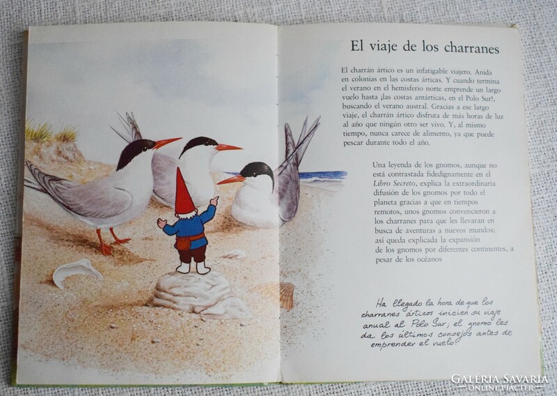 El libro Secreto de los Gnomos 3. , spanyol mesekönyv , 1985