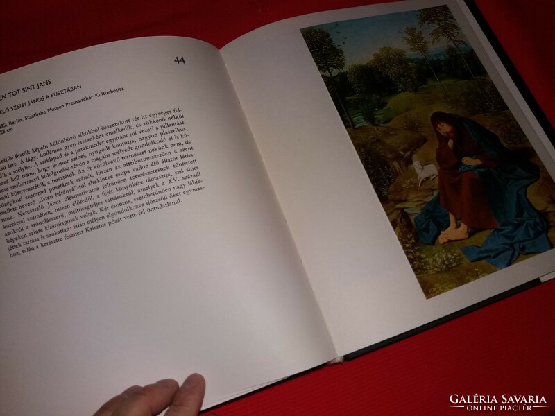 1977. János Végh: Dutch painting in the 19th century. Century book, album pictures according to corvina
