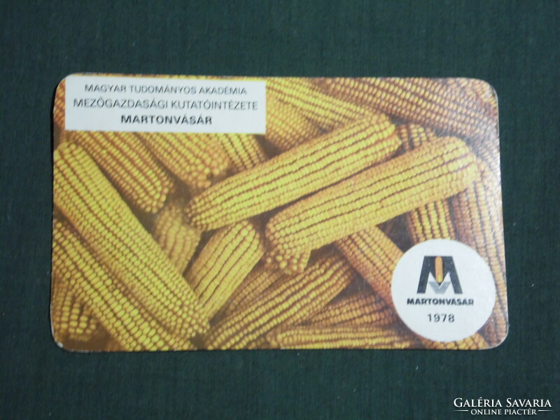 Kártyanaptár, mezőgazdasági kutatóintézet, Martonvásár, kukorica , 1978,   (4)