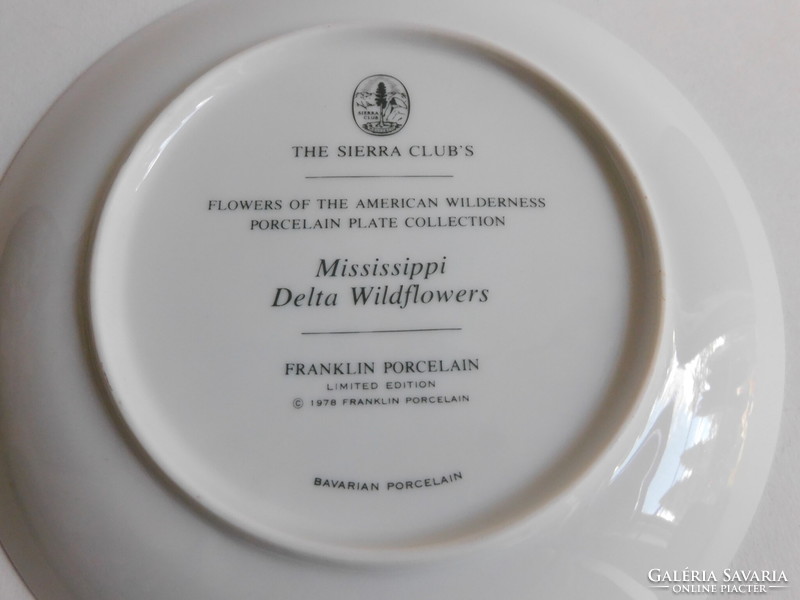 Wild flowers (passiflora, camellia) - mississippi delta - franklin porcelain