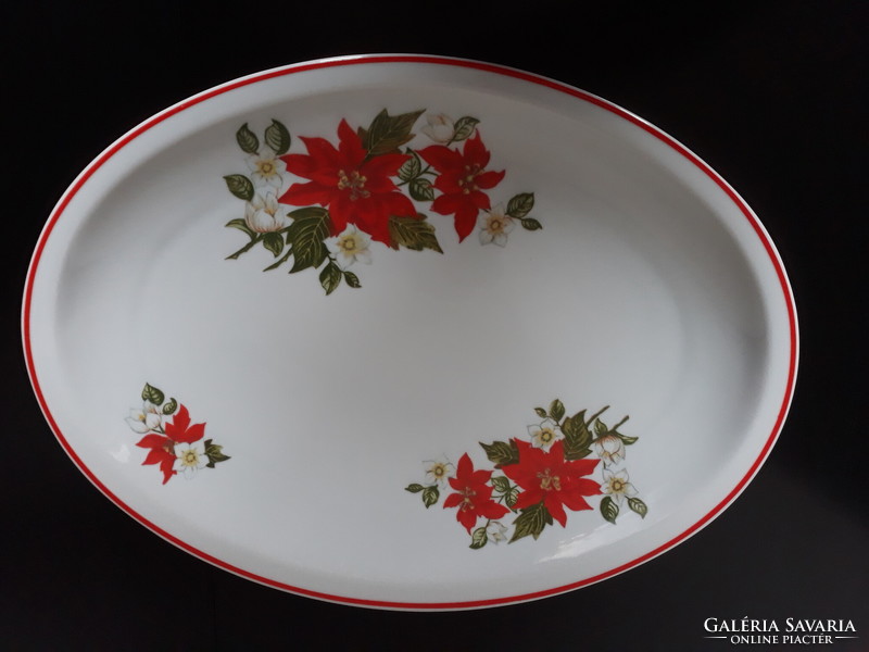 Zsolnay poinsettia pattern steak plate