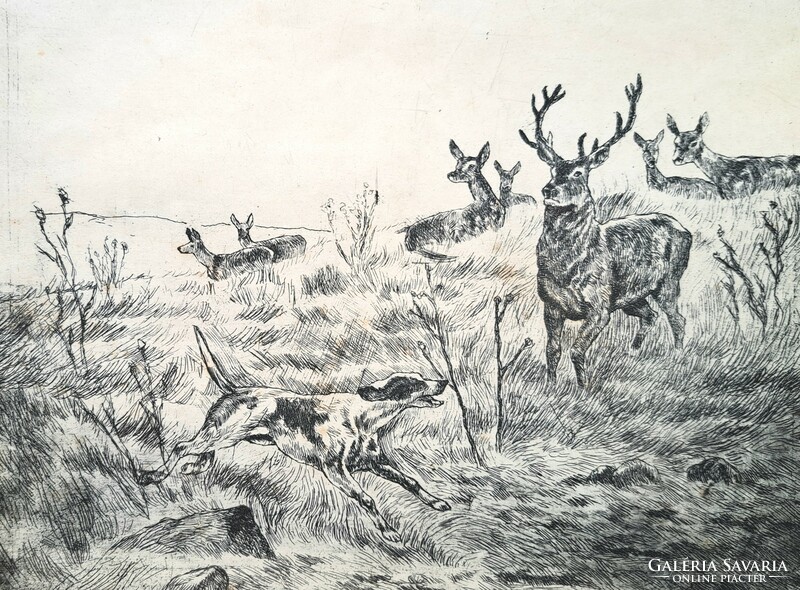 Deer - etching in frame, signed - hunting scene