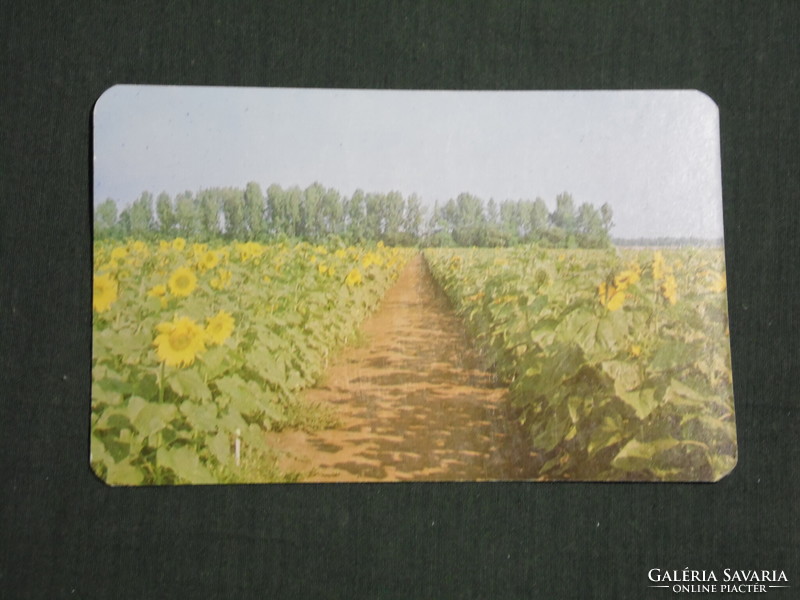 Card calendar, apple farm, sunflower production system, 1978, (4)