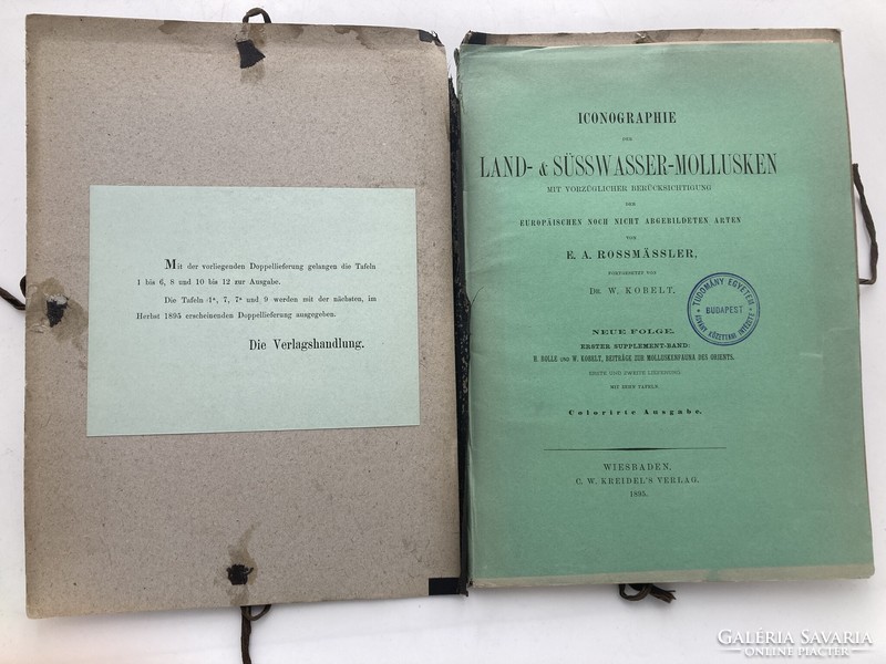 Land & Süsswasser-Mollusken, 1895 - Tíz színes litográfia kagylókról, csigákról