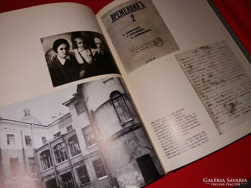 Vlagyimir Jevgrafovics Tatlin avantgard festő és építész művei könyv, album képek szerint CORVINA
