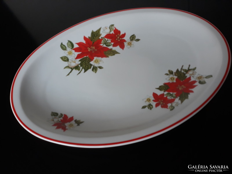 Zsolnay poinsettia pattern steak plate