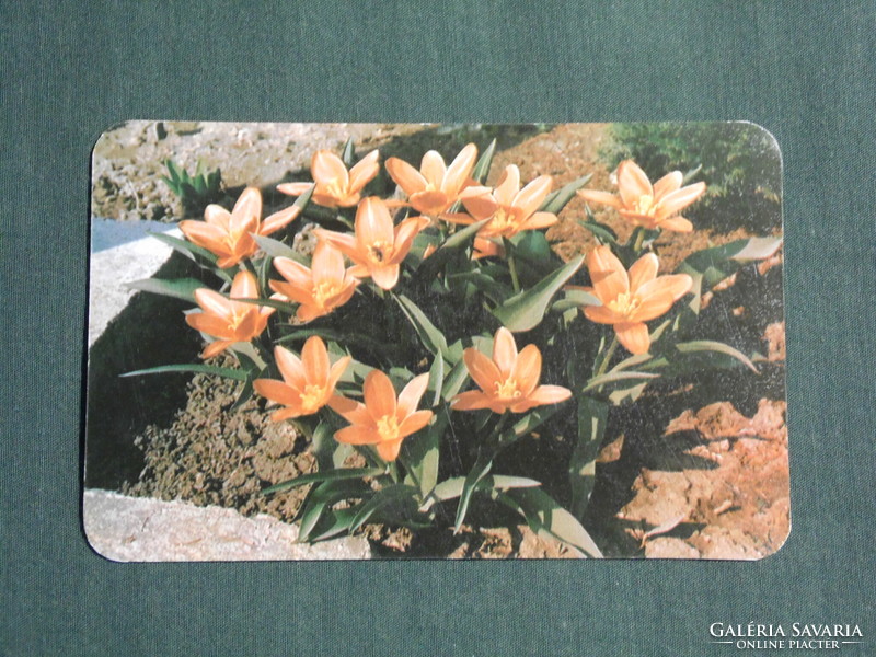 Card calendar, flower seed company, 1979, (4)