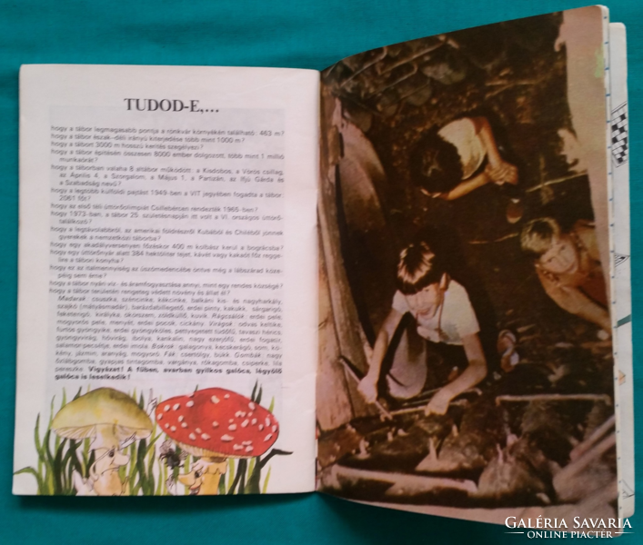 Tábori Kis Tracta., a Csillebérci Vezetőképző és Úttörőtábor nyári tájékoztatója, kiadták 1982