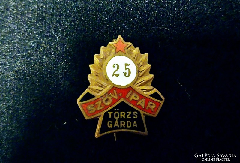 Text Industry 25 years standard guard badge