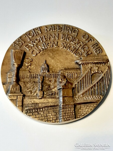Sándor Kiss (1925-1999) 1983. International Gerontological Society - Budapest bronze memorial medal, plaque