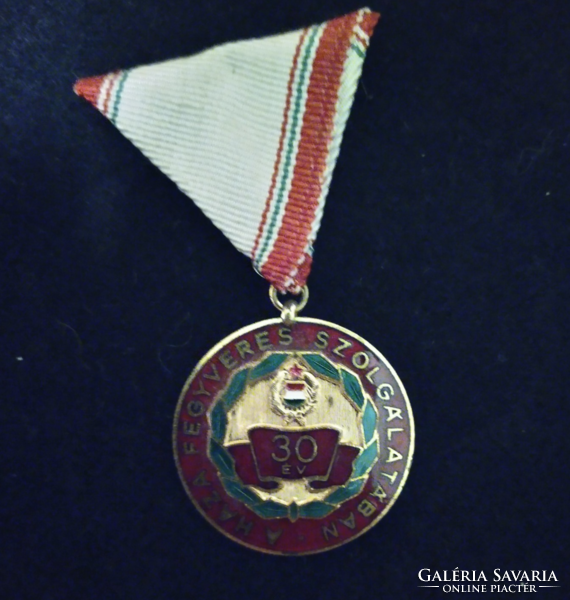 30 years in the armed service of the homeland award