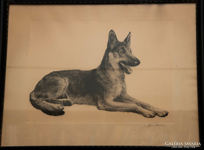 A work by an unknown author about a German Shepherd dog.