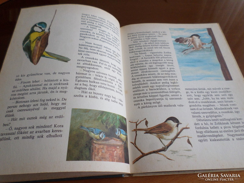 Rare! Bird feeder guests at Schmidt egon with Toth Aliz's drawings for children over four years old, 1986