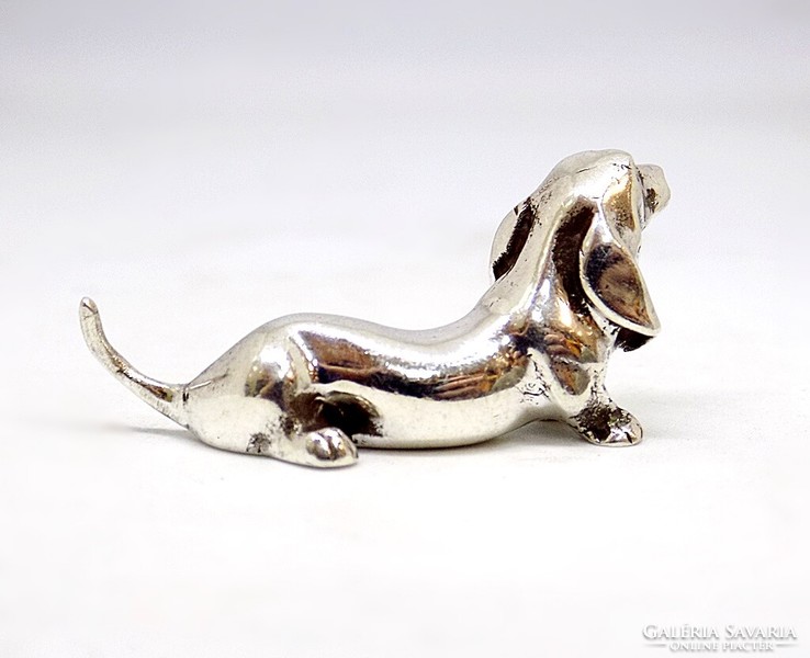 Silver dachshund miniature (zal-ag119208)