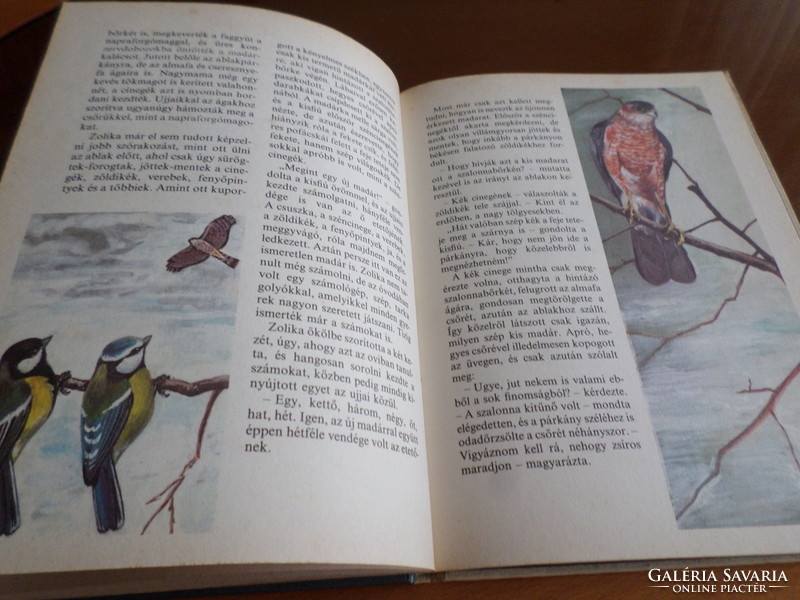 Ritka! SCHMIDT EGON A madáretető vendégei Tóth Aliz rajzaival  Négy éven felülieknek, 1986