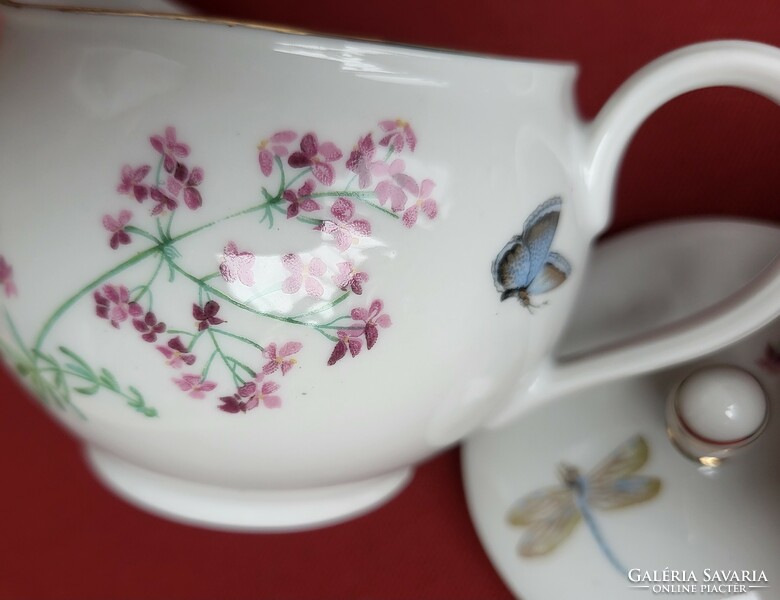 Hertel jacob bavaria German porcelain sugar milk cream pouring butterfly with dragonfly flower pattern