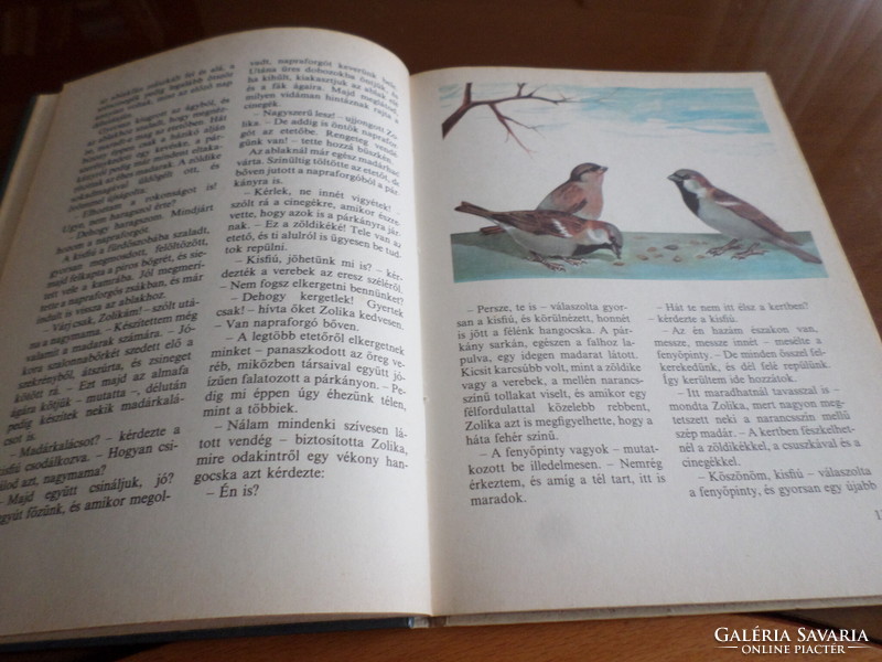 Ritka! SCHMIDT EGON A madáretető vendégei Tóth Aliz rajzaival  Négy éven felülieknek, 1986