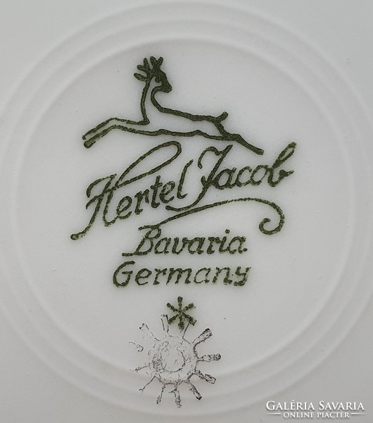 2pcs hertel jacob bavaria German porcelain coffee tea set cup saucer plate with gold edge