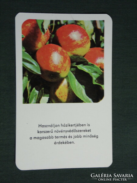 Card calendar, agroker company, Kecskemét, plant protection agent, apple, 1979, (4)