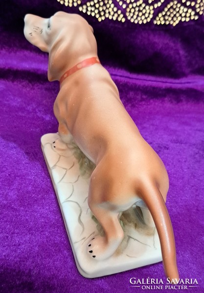 Dachshund porcelain (l4386)