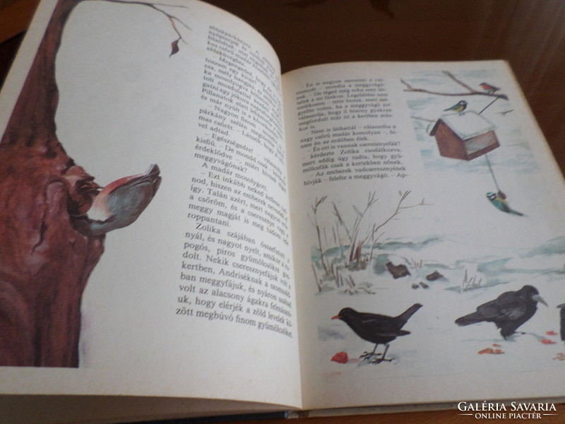 Rare! Bird feeder guests at Schmidt egon with Toth Aliz's drawings for children over four years old, 1986